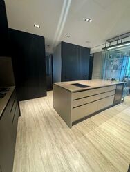 TwentyOne Angullia Park (D9), Condominium #527989561